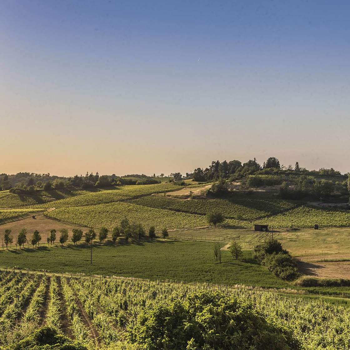 Gavi Hills, Serravalle