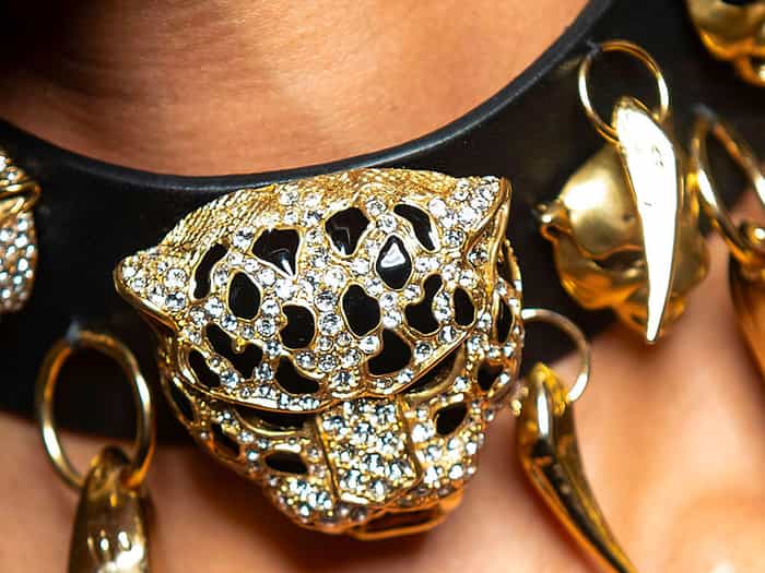 Roberto Cavalli_jewellery on the neck