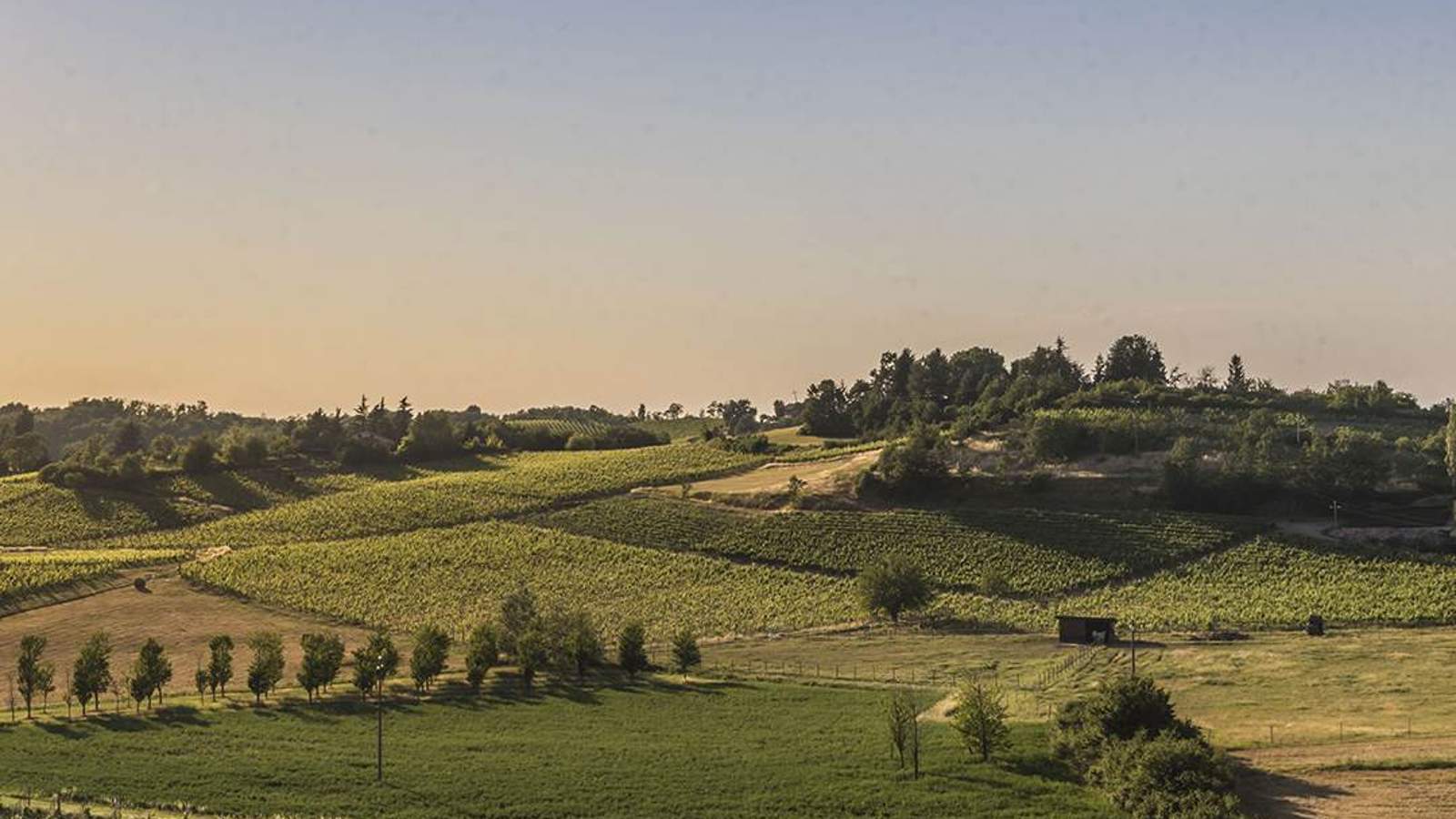 Gavi Hills, Serravalle