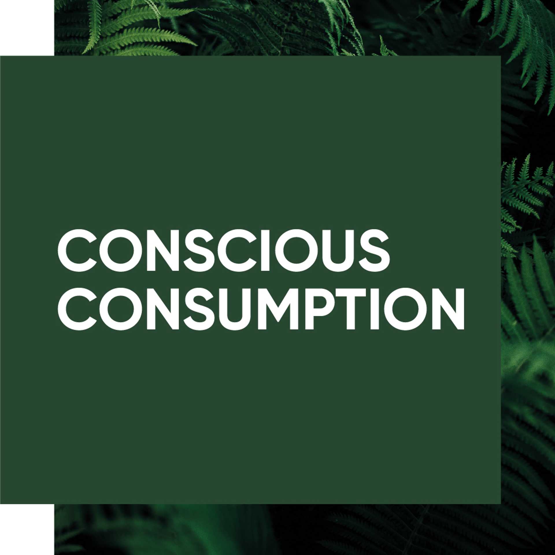 'Conscious Consumption' text applied on top of plant foliage