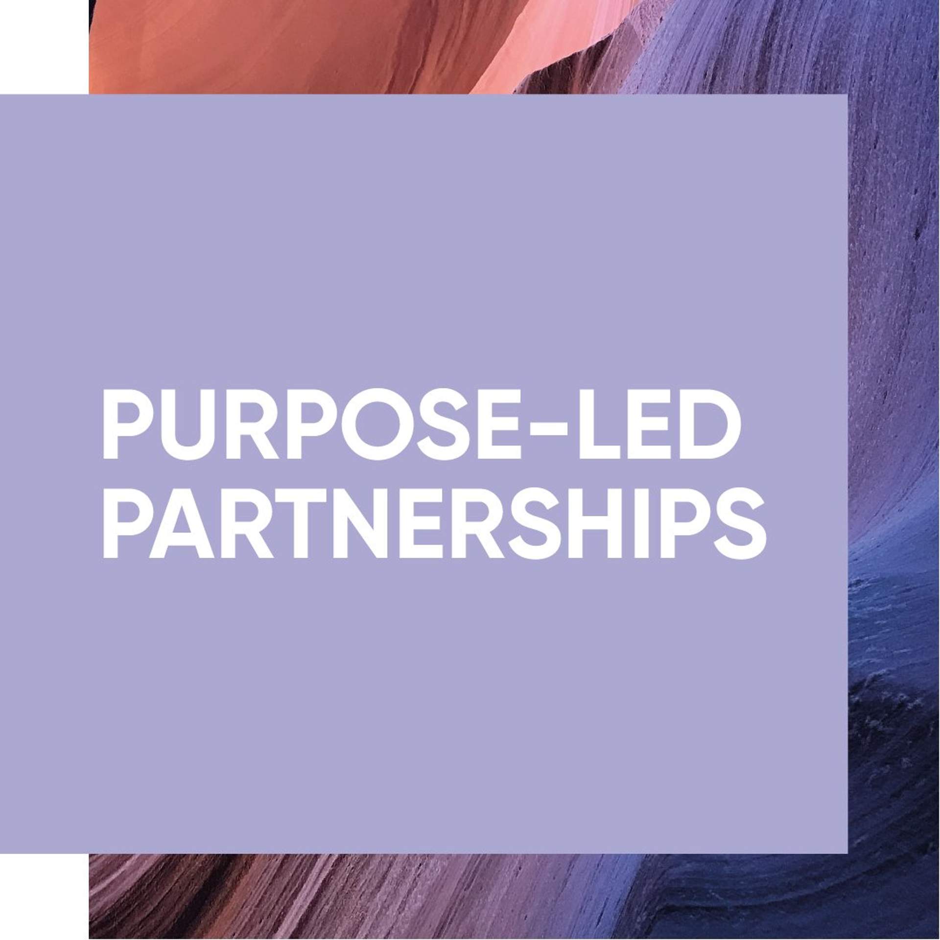 'Purpose-Led Partnerships' text applied on top of a desert rock formation