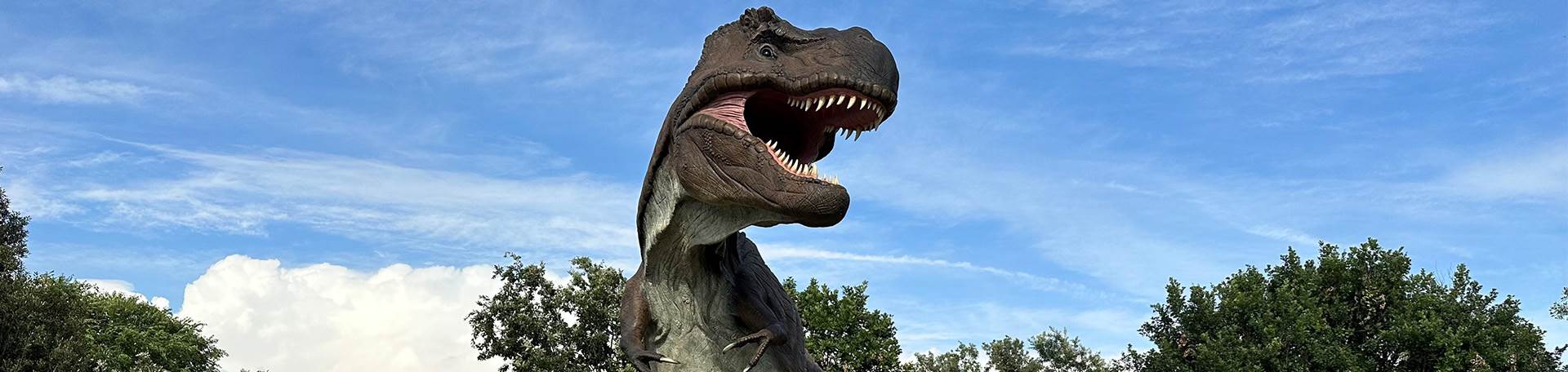 Oasi | Castel Romano Designer Outlet | Dinosaurs