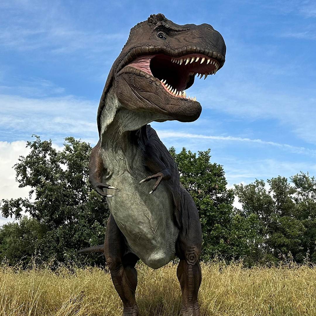 Oasi | Castel Romano Designer Outlet | Dinosaurs